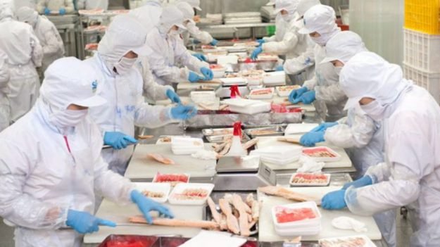 Thành lập doanh nghiệp thực phẩm thực hiện như thế nào? Thành lập doanh nghiệp thực phẩm thực hiện như thế nào?